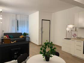 Monolocale in affitto a 1.000 € al mese a Udine, Via Paolo Sarpi