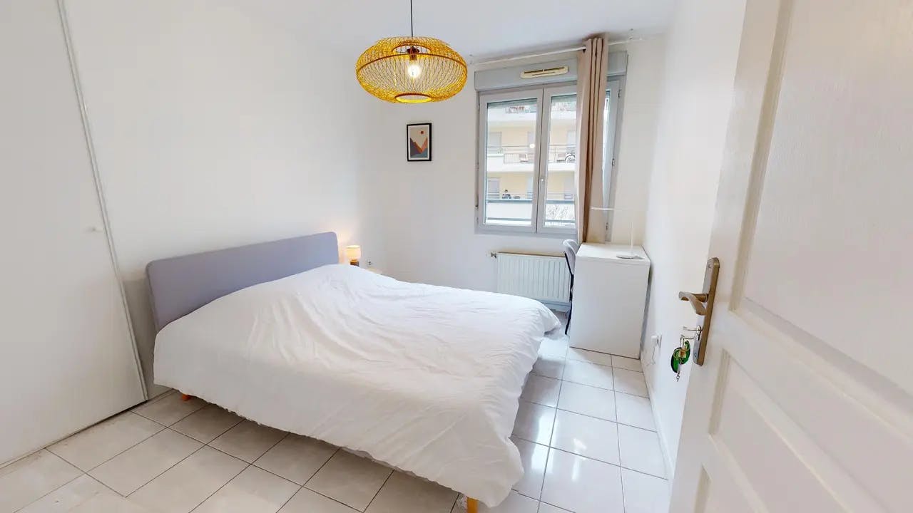 Avenue Paul Santy, Lyon preview