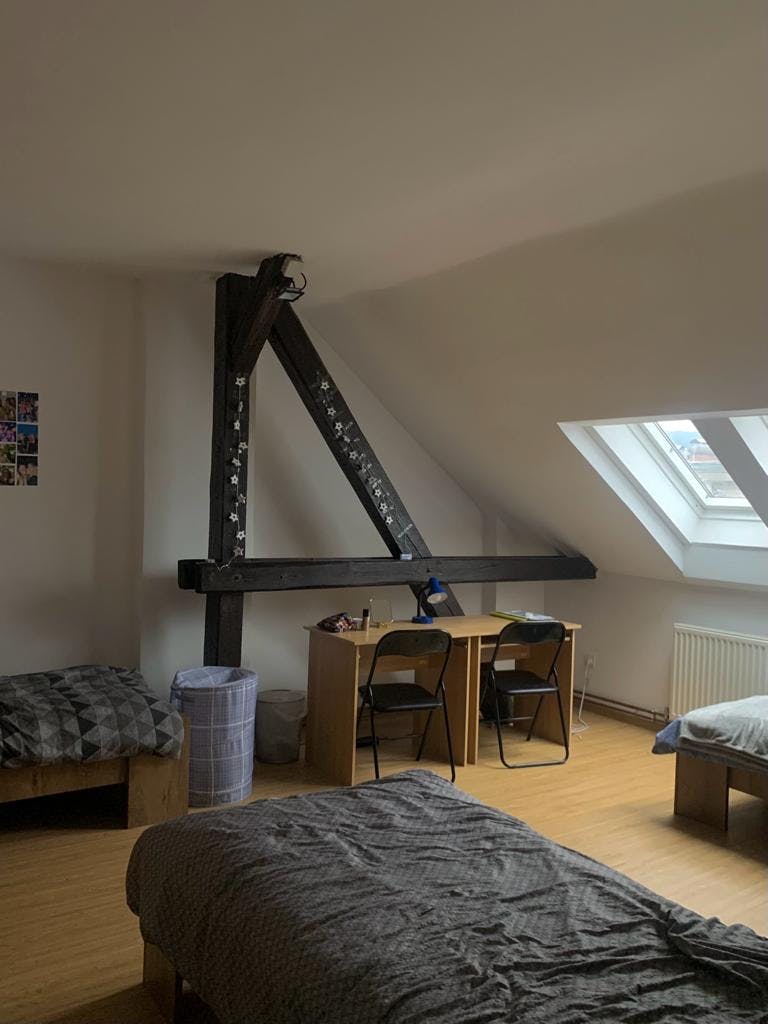 Apartment Ljubljana, 130m² — photo 5