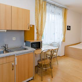 单间公寓 for rent for €1,400 per month in Graz, Steinfeldgasse