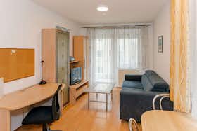 Appartement à louer pour 1 900 €/mois à Graz, Steinfeldgasse