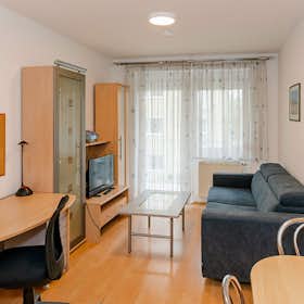 Apartamento en alquiler por 1900 € al mes en Graz, Steinfeldgasse