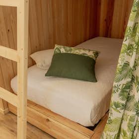Mehrbettzimmer zu mieten für 100 € pro Monat in Ovar, Avenida da Praia