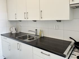 Apartment for rent for €2,800 per month in Rotterdam, Den Uylsingel