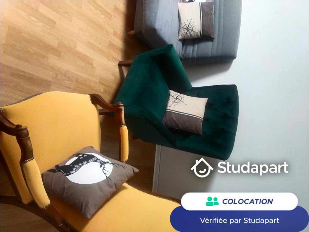 Private room for rent on Rue Philippe Fabia, Lyon - Vue 4