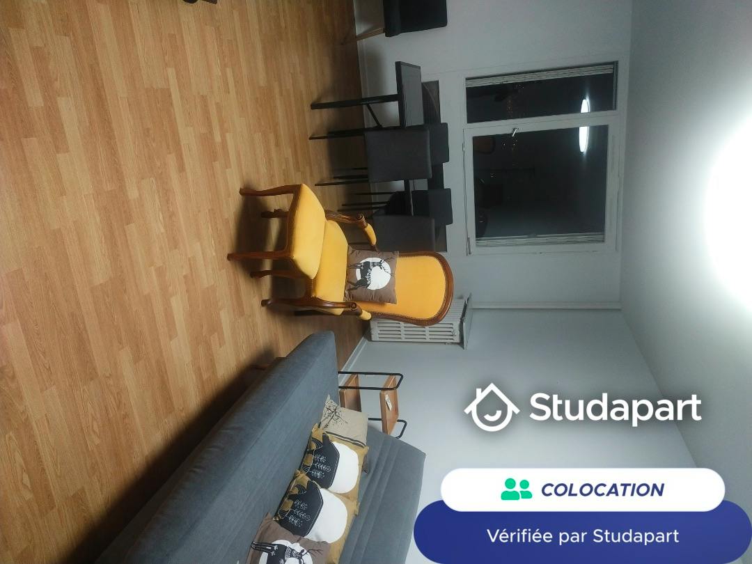 Private room for rent on Rue Philippe Fabia, Lyon - Vue 3