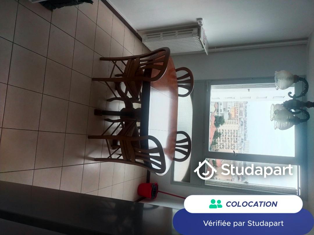 Private room for rent on Rue Philippe Fabia, Lyon - Plus