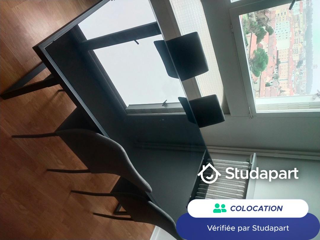 Private room for rent on Rue Philippe Fabia, Lyon - Vue 5