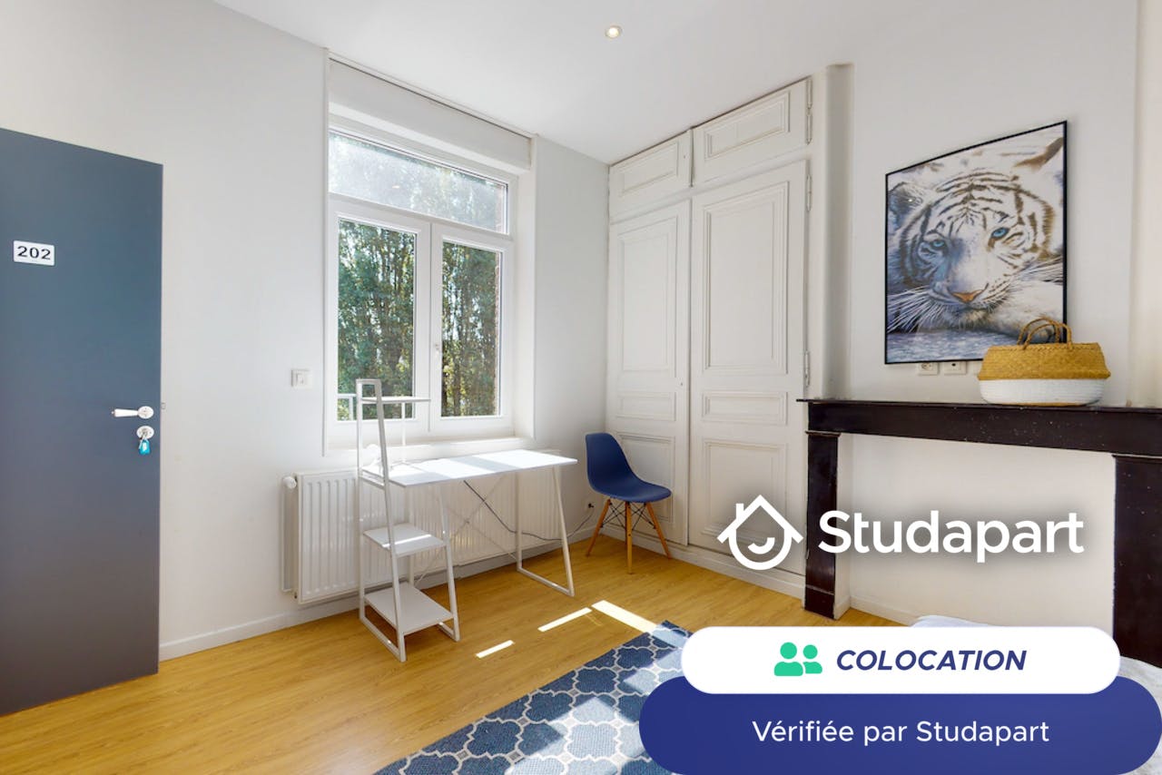 Private room for rent on Boulevard Bigo Danel, Lille – pohled 6