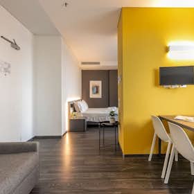 单间公寓 正在以 €1,600 的月租出租，其位于 Venice, Via Torino