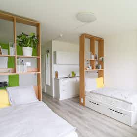 Shared room for rent for CZK 11,102 per month in Prague, Děčínská