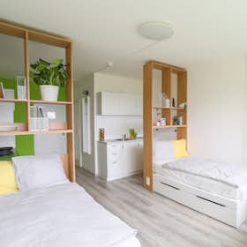 Shared room for rent for CZK 11,099 per month in Prague, Děčínská