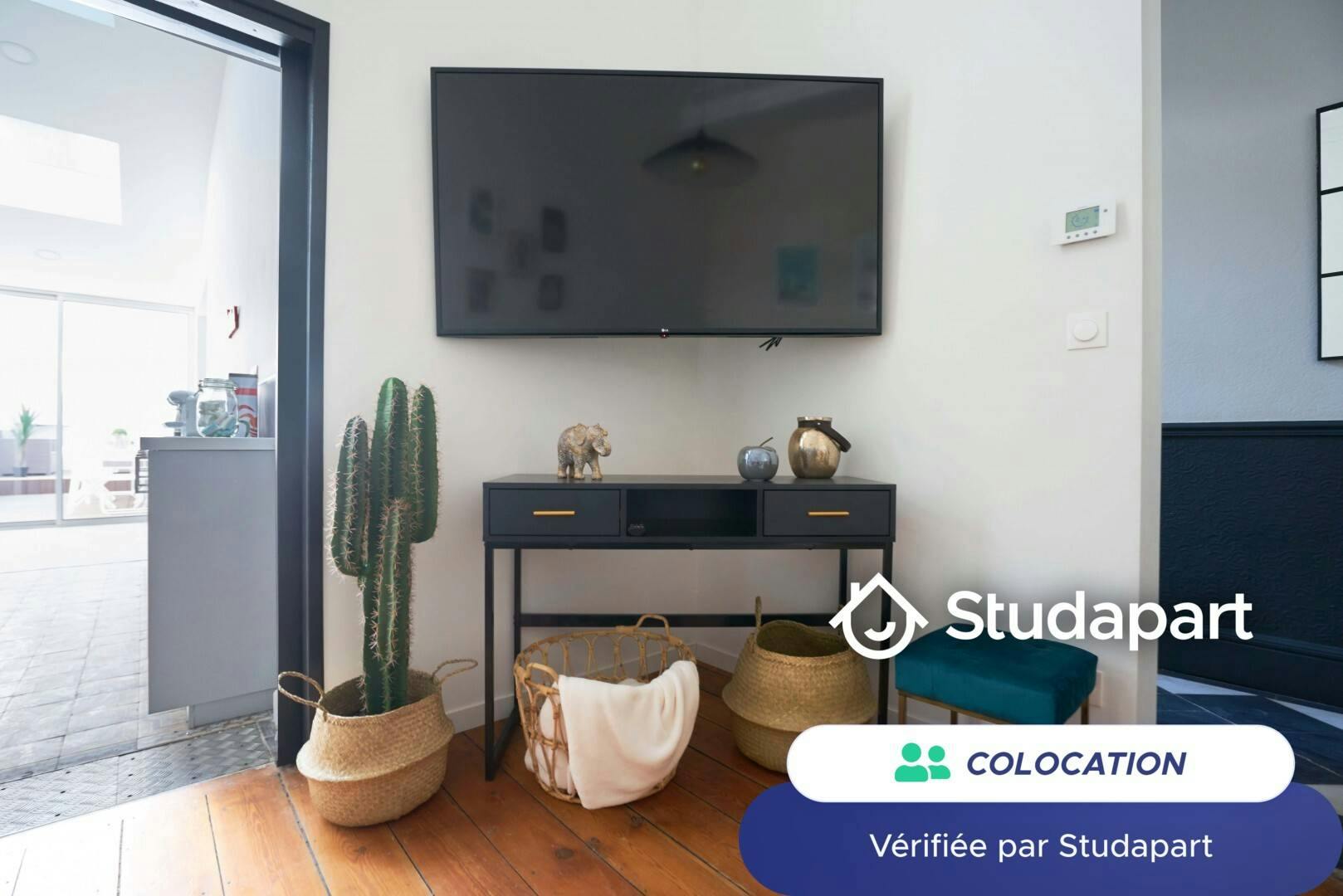 Private room for rent on Rue Jacquemars Gielée, Lille - Plus