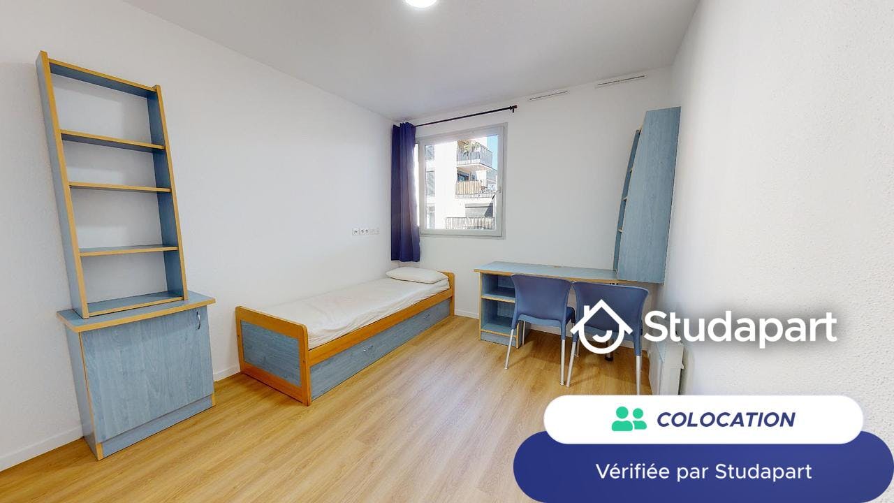 Private room for rent on Cours Docteur Long, Lyon