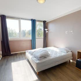 WG-Zimmer zu mieten für 454 € pro Monat in Villeneuve-d'Ascq, Rue Eugène Delacroix