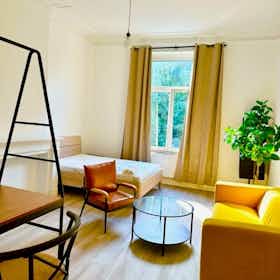 Monolocale in affitto a 929 € al mese a Ixelles, Rue Malibran