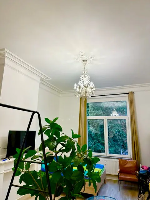 Apartment in Rue Malibran, Ixelles (1490505) room image 2