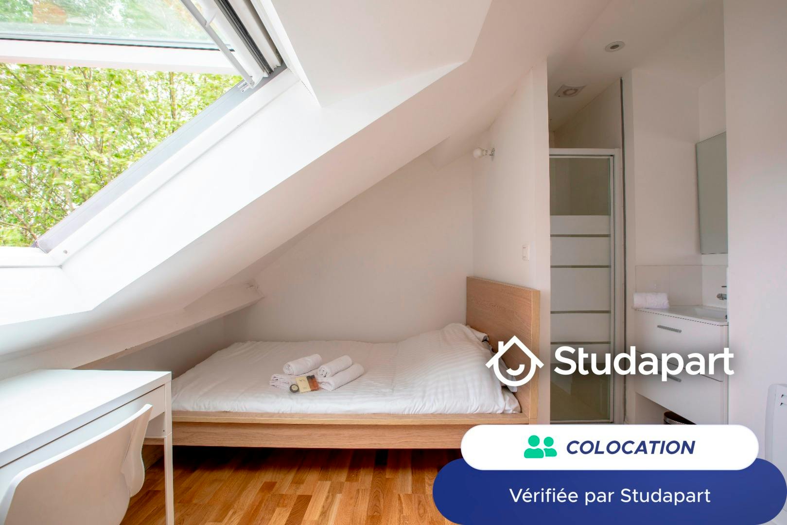 Private room for rent on Rue du Port, Lille - Plus