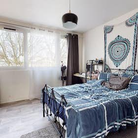 Private room for rent for €336 per month in Villeneuve-d'Ascq, Rue Eugène Delacroix