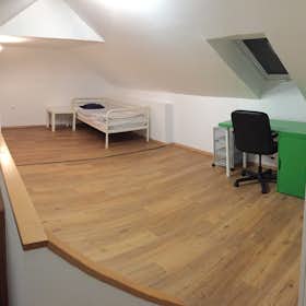 私人房间 正在以 €260 的月租出租，其位于 Maribor, Maistrova ulica