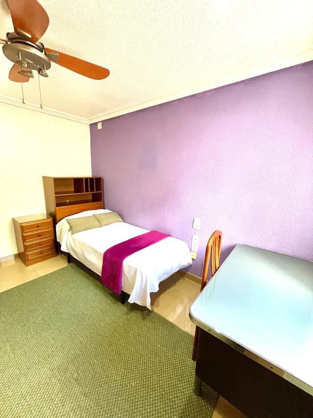 Private room in Calle Mariano Ruiz Funes, Murcia (1491171) room image 4