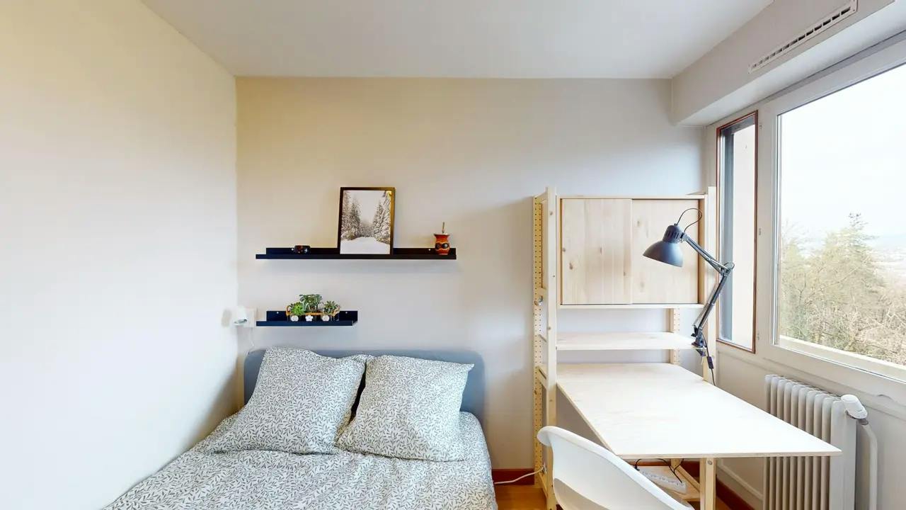 Private room in Boulevard du Fier, Annecy (1491178) room image 2