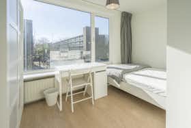 Stanza privata in affitto a 955 € al mese a Amsterdam, Botterstraat