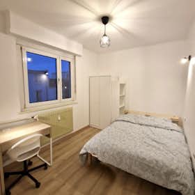 Privat rum att hyra för 570 € i månaden i Strasbourg, Rue d'Ensisheim