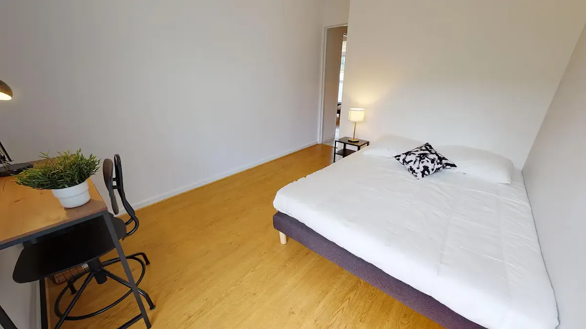 Private room in Avenue Auguste Blanqui, Villeurbanne (1491578) ROOM