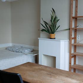 Private room for rent for €475 per month in Schaerbeek, Avenue Paul Deschanel