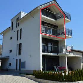 Apartment for rent for CHF 5,994 per month in Mägenwil, Mattenstrasse