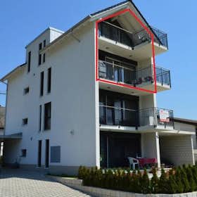 Wohnung zu mieten für 6.023 CHF pro Monat in Mägenwil, Mattenstrasse