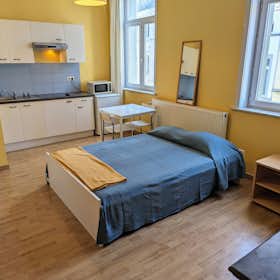 Studio for rent for €830 per month in Saint-Josse-ten-Noode, Rue Marie-Thérèse