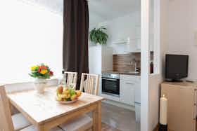 单间公寓 正在以 €1,490 的月租出租，其位于 Graz, Arndtgasse