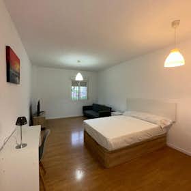 Private room for rent for €650 per month in Madrid, Calle de Afueras a San Roque