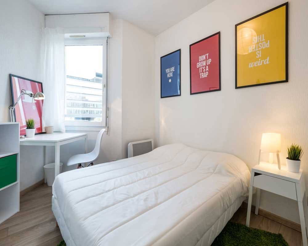Private room in Rue Paul Bert, Lyon (1492704) ROOM