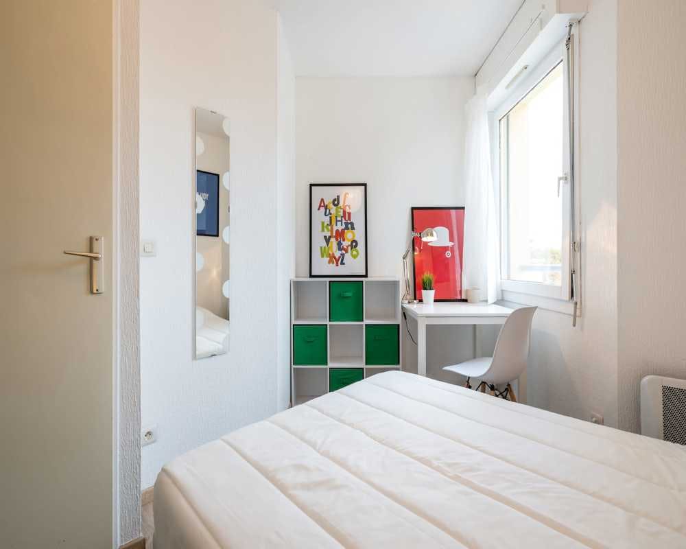 Private room in Rue Paul Bert, Lyon (1492704) ROOM 1