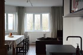 Apartamento en alquiler por 1290 € al mes en Antwerpen, Lysenstraat
