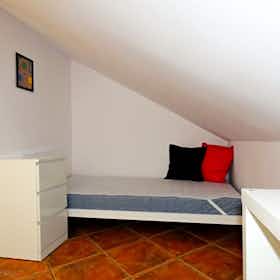 Private room for rent for PLN 689 per month in Kraków, ulica Feliksa Konecznego