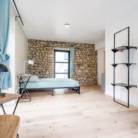 Stanza privata for rent for 1.025 € per month in Arlon, Rue de Bastogne