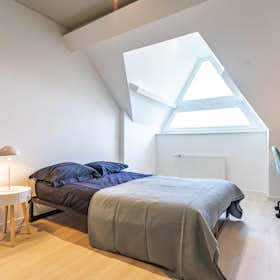 Private room for rent for €995 per month in Woluwe-Saint-Lambert, Avenue Paul Hymans