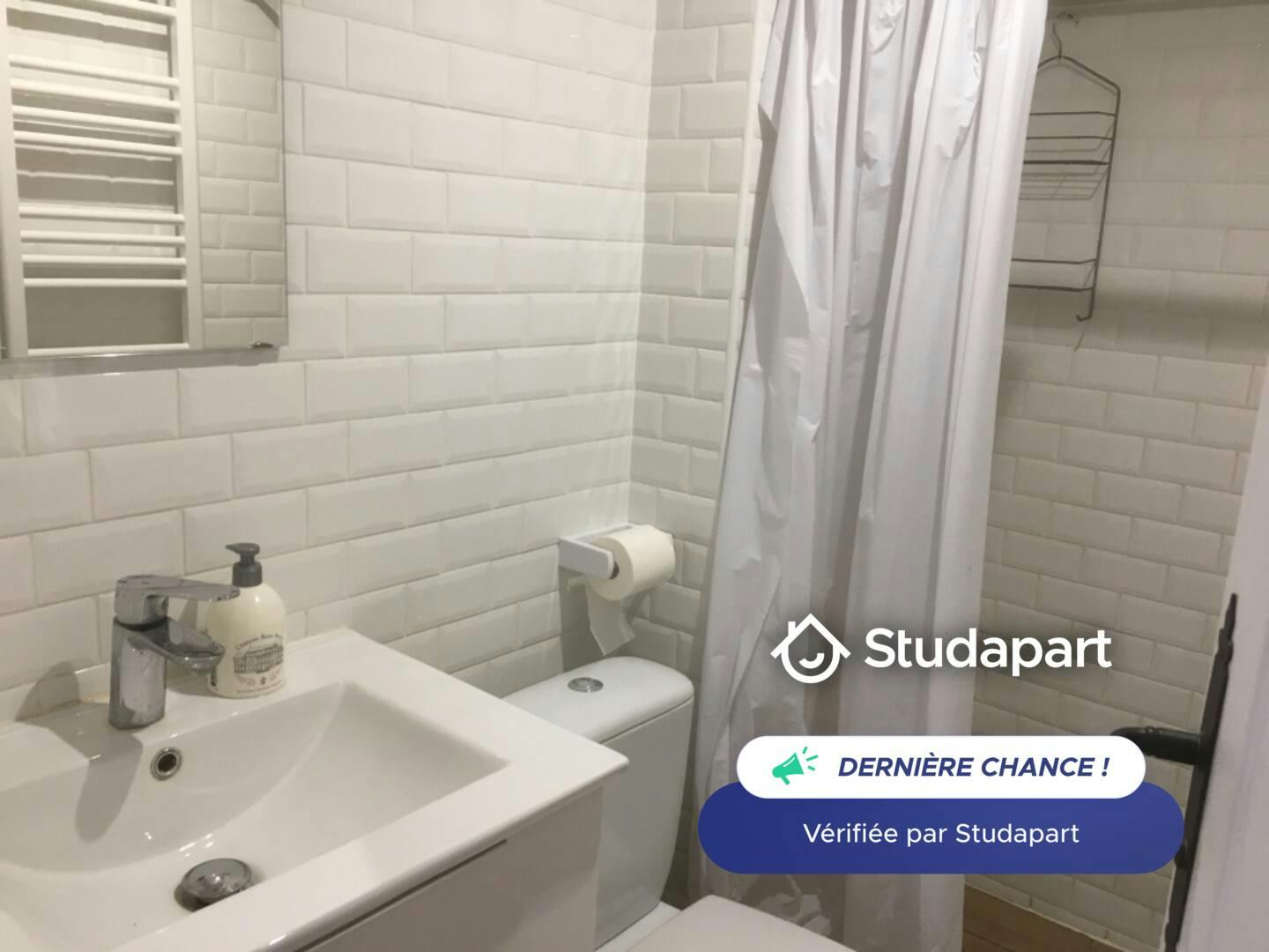 Apartment for rent on Rue Camille Blanc, Villejuif - Vue 4