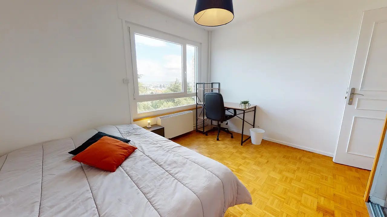 Boulevard de l'Europe, Oullins-Pierre-Bénite preview