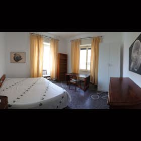 Private room for rent for €670 per month in Rome, Via Pavia