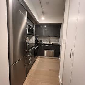 Studio for rent for $4,100 per month in New York City, Wall St