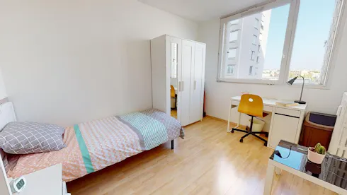 Private room for rent on Rue Philippe Fabia, Lyon