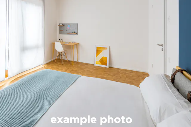 Private room in Georg-Voigt-Straße, Frankfurt am Main (1495210) room image 2