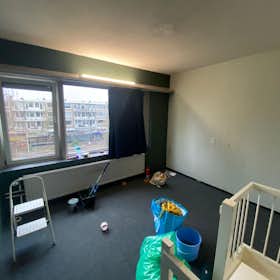 Private room for rent for €598 per month in Rotterdam, Jacob van Campenplein