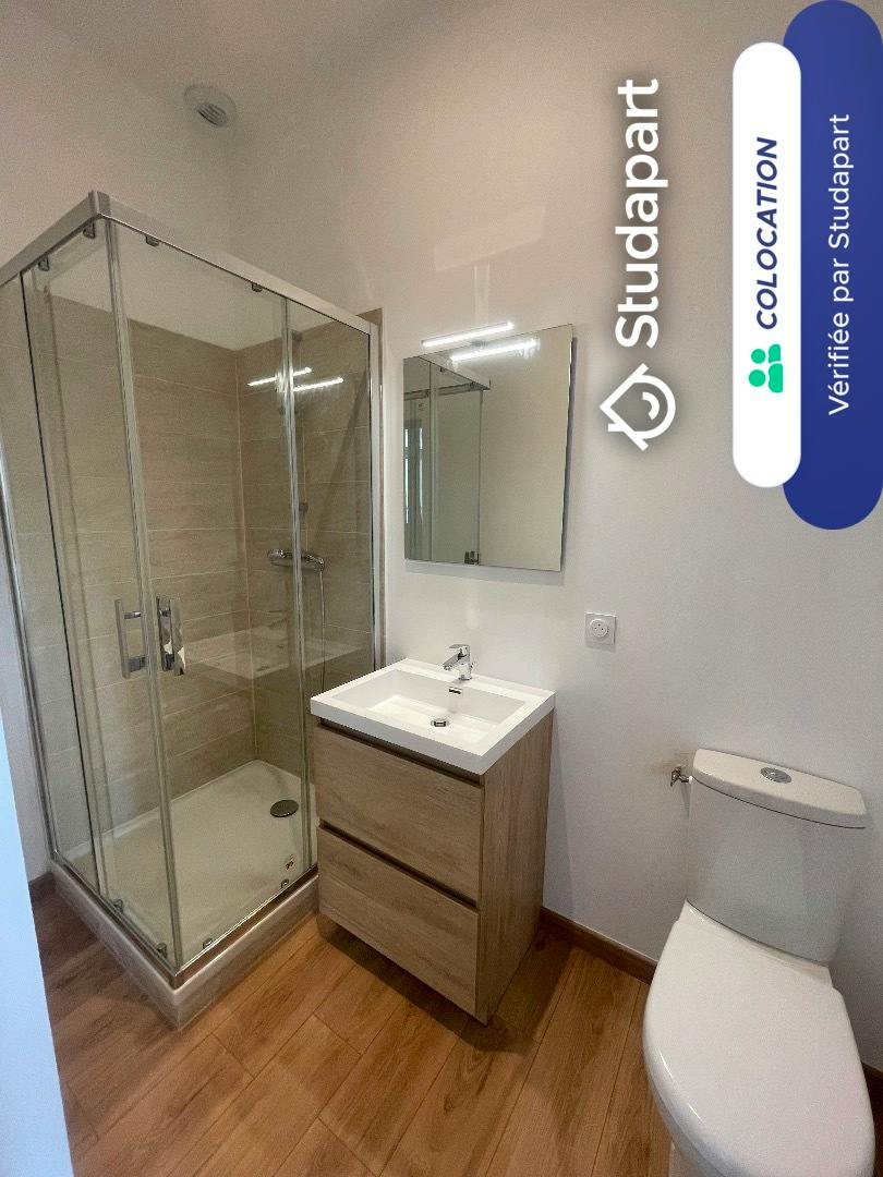 Private room for rent on Rue de Brezets, Bordeaux - Plus