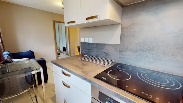1-Bedroom Apartment in Rue Lavoisier, Lyon (1495429) room image 8